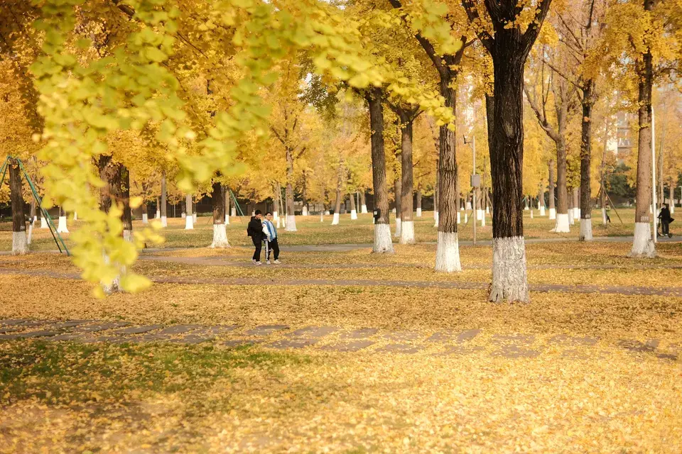 Our Commitment to the Neebing, ON, United States Area — Neebing, ON